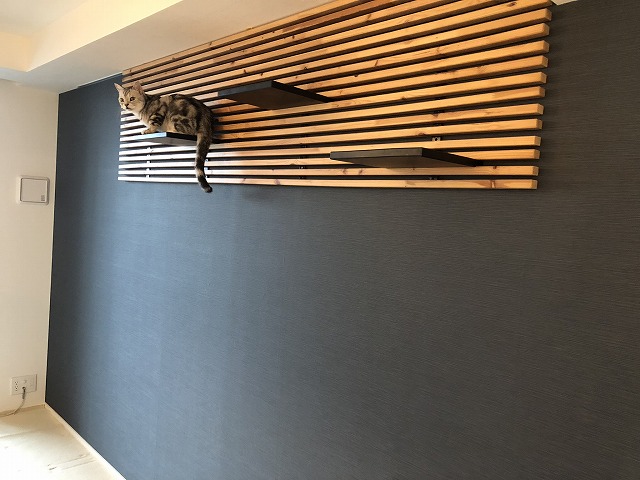 キャットウオークも映えるアクセントクロス